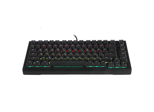 מקלדת מכנית Ducky ProjectD Tinker 75 Cherry Brown Switch