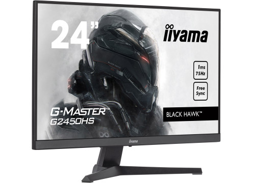 IIYAMA 24" G-Master VA FHD 75Hz 1ms Gaming Monitor