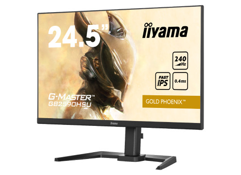 IIYAMA 24.5" G-Master IPS FHD 240Hz 0.4ms Gaming Monitor