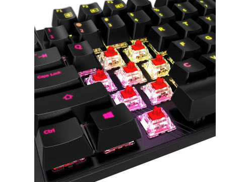מקלדת גיימינג מכאנית Gigabyte AORUS K1 MX Cherry