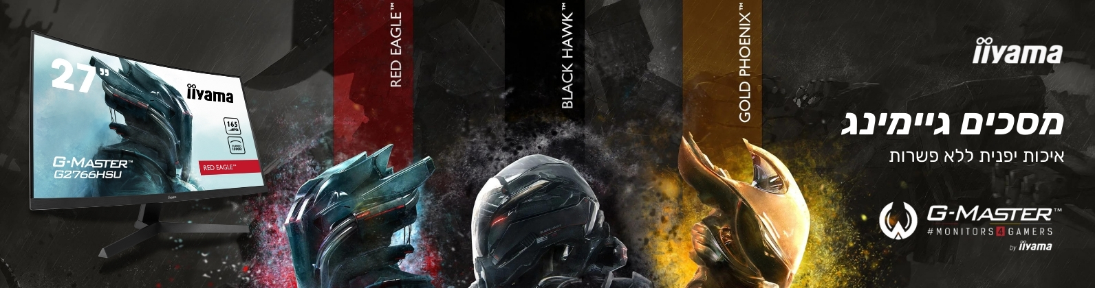 Banner IIYAMA